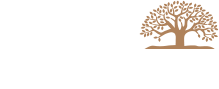 The Wealth Consulting Group